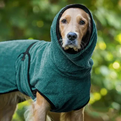 Especialización en ropa para mascotas